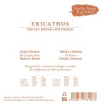 Knobloch ERITHACUS Double Silver SN Nylon Medium-Low Tension 33.0