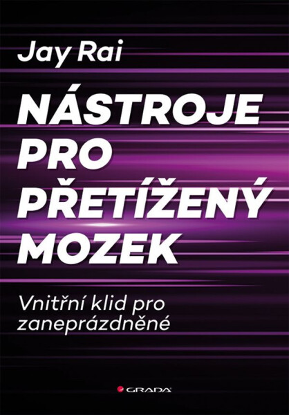 Nástroje pro přetížený mozek - Vnitřní klid pro zaneprázdněné - Jay Rai