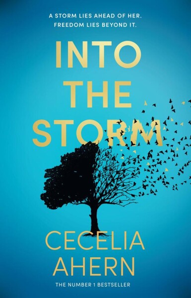 Into the Storm - Cecelia Ahern