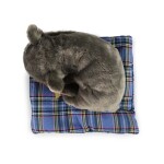 Plyšový pes francouzský buldoček ležící 23 cm ECO-FRIENDLY