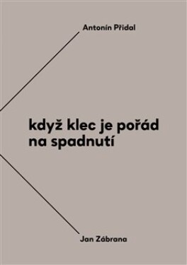 Když klec je pořád na spadnutí Jiří Opelík