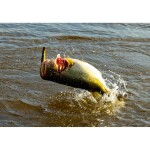 Savage Gear Wobler Prop Walker Floating 10cm 21g,Savage Gear Wobler Prop Walker Floating 10cm 21g