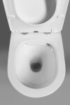 SAPHO - PACO závěsná WC mísa, Rimless, 36x53cm, bílá PZ1012WR