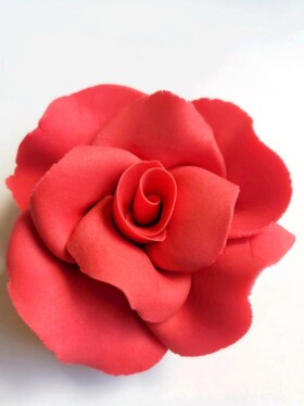 Dortisimo Cukrová růže velká červená (9 ks)