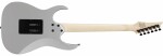 Ibanez RG450DX Classic Silver