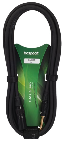 Bespeco EAJX300