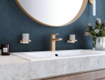 HANSGROHE - AddStoris Sklenka na kartáčky a pastu s držákem, matné sklo/kartáčovaný bronz 41749140