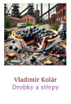 Drobky a střepy - Vladimír Kolár