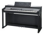 Kurzweil CUP P1 BK