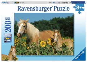 Ravensburger Koňské štěstí