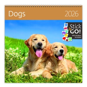 Nástěnný poznámkový kalendář 2026 Helma - Dogs