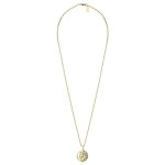 Pánský ocelový náhrdelník Lion Gold - přívěsek s motivem lva, Zlatá 60 cm