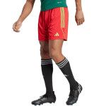 Pánské šortky Tiro 23 League IB8090 Adidas