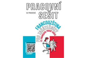 Francouzština pro začátečníky pracovní sešit