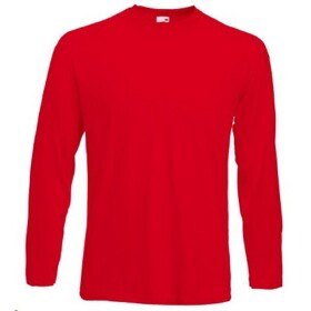 Triko pánské dlouhý rukáv Valueweight Long Sleeve T F610380