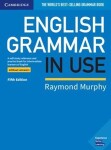 English Grammar in Use without answers Raymond Murphy