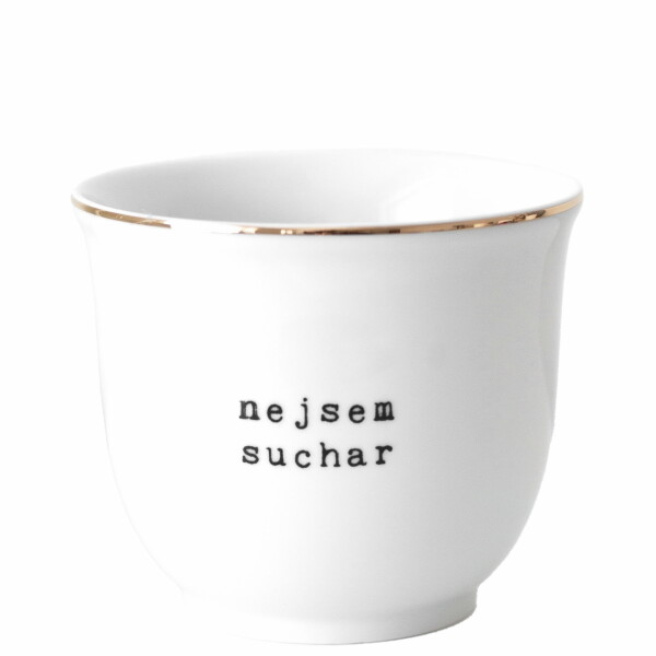 Bella Rose Porcelánový obal na květináč Nejsem suchar 10 cm, bílá barva, zlatá barva, porcelán