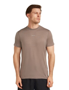 Pánské merino triko s krátkým rukávem ICEBREAKER Mens 125 Cool-Lite Speed SS Tee, Porcini velikost: S