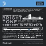 D'Addario EXL110-10P