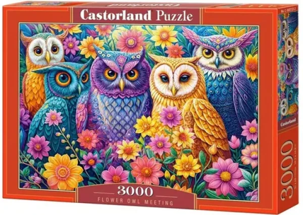 Castorland 300723-2 Puzzle Soví setkání v květinách