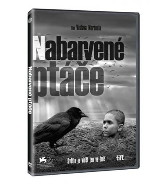 Nabarvené ptáče DVD