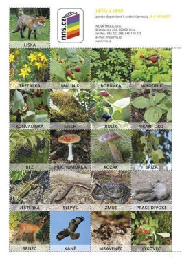 Pexeso Léto v lese (Já můj svět 2), 1. vydání