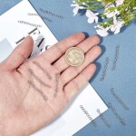 Prodlužovací řetízek z nerezové oceli - platinový - 4 cm x 3 mm - 1 ks