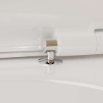 HANSGROHE - EluPura S Závěsné WC se sedátkem SoftClose, Rimless, AquaChannel Flush, SmartClean, EcoSmart, bílá 61186450