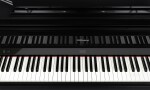Roland GP-9M PE