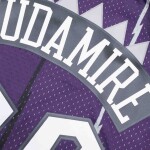 Mitchell & Ness Pánský dres Toronto Raptors NBA Damon Stoudamire #20 1995-96 Swingman Velikost: 2XL