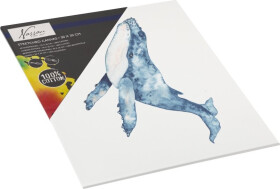 Malířské plátno 30x30 100% bavlna - Craft Creative