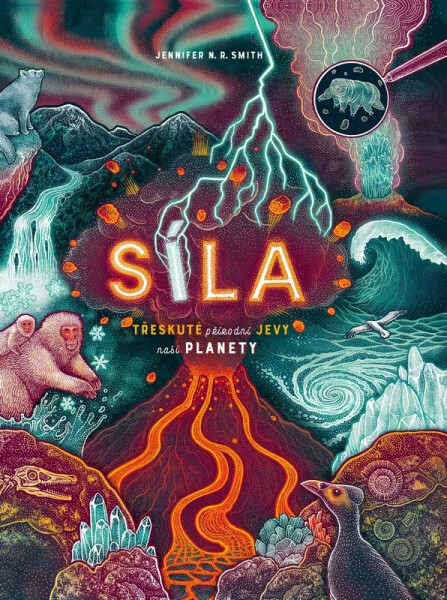 Síla - Třeskuté přírodní jevy naší planety - Jennifer N. R. Smith