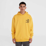O'Neill Future Surf Society Hoodie 92800613450
