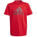 Tričko adidas Big Logo Tee Jr IJ6262 cm