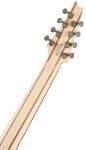 Ibanez RGMS8 Black