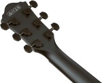 Ibanez AEG1221-BOT