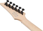 Ibanez RG421DX-TWS