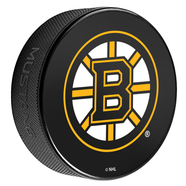 Mustang Puk Boston Bruins NHL Printed Primary Logo