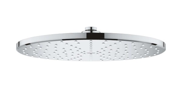 GROHE - Rainshower Hlavová sprcha 310 Mono 9,5 l/min, 1 proud, chrom 26562000