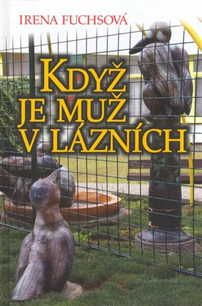 Když je muž lázních