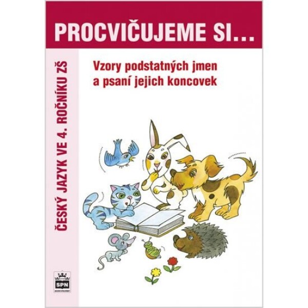 Procvičujeme si vzory psaní koncovek podstatných jmen