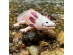 Safari Ltd. Safari Ltd. Figurka - Axolotl
