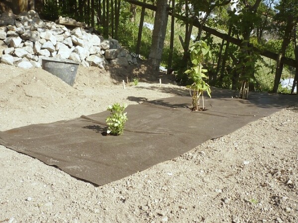 Rozložitelná ekotextilie ze 100% biomasy přírodními vlákny) Agrotextílietilie EKO+ 157 g/m² m²]