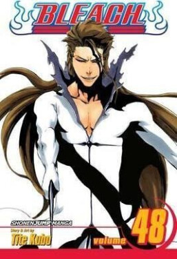 Bleach 48 (anglicky) - Noriaki Kubo