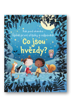 Co jsou hvězdy?