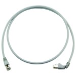 Telegärtner 100008041 RJ45 síťové kabely, propojovací kabely CAT 6A S/FTP 1.0 m šedá samozhášecí, S průchodkou chránící proti zlomení 1 ks