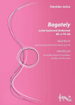 Bagately jiné kytarové drobnosti 60. 70. let