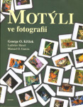 Motýli ve fotografii Křížek,