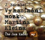 Vyhasínání mozku Martina Kleina Bernlef