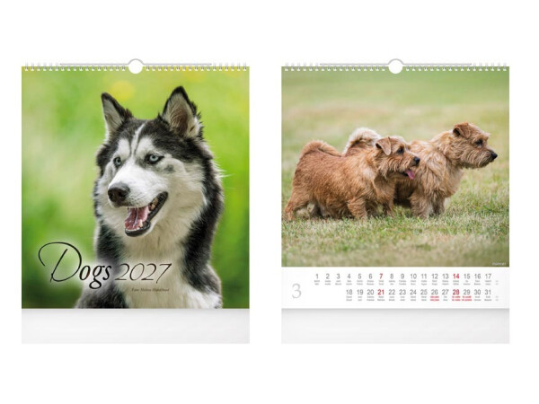 Kalendář 2027 nástěnný malý Dogs